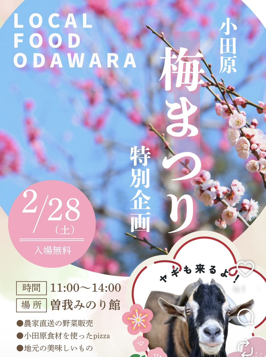 �Ó�organic farmers market